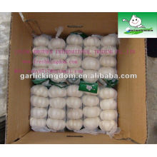 chinese fresh garlic with great quality